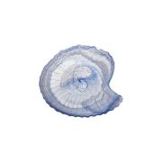 Тарелка 31x29 см h 4,2 см, стекло, цвет / декор сине-белый, Seasnail