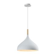 Подвесной светильник Moderli V1300-1P Eline