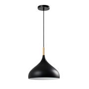 Подвесной светильник Moderli V1301-1P Eline
