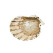 Блюдо для подачи 15*15 см h5,5 см 125 мл Pearl Shell Frutti di Mare