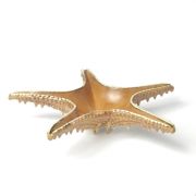 Блюдо для подачи 28*28 см h6 см 100 мл Звезда Pearl Starfish Frutti di Mare
