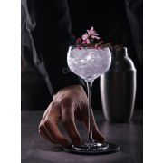 Бокал для коктейля «Aster» Cocktail Week 160мл, P.L-Barware
