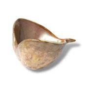 Салатник 100 мл 13*13 см h8,5 см Pearl Shell Frutti di Mare