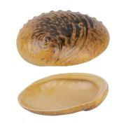 Салатник 365 мл 19*14,5 см h5 см Light Pearl Ammonite Shell Frutti di Mare
