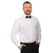 Бабочка черная