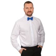 Бабочка цветная