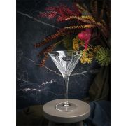 Бокал для мартини, h 17,2 см,d 10,4 см, 215 мл, Mixology